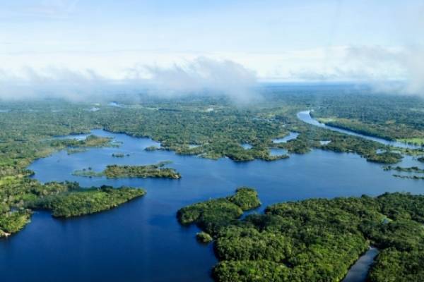 La nature face aux changements climatiques