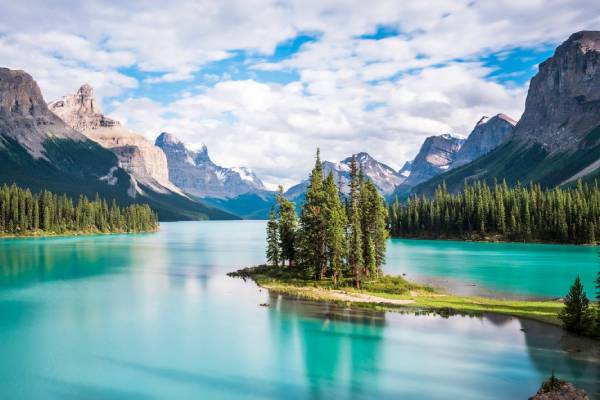 La nature face aux changements climatiques